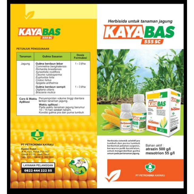 kayabas 500ml