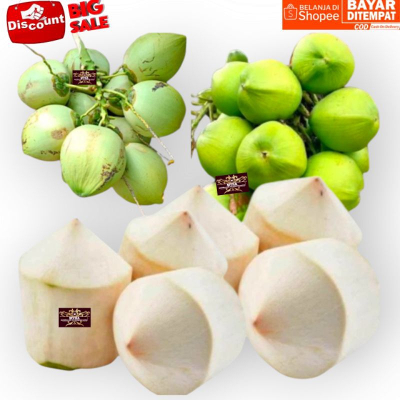 

Degan ijo kupas kelapa muda Degan ijo muda desa Best seller