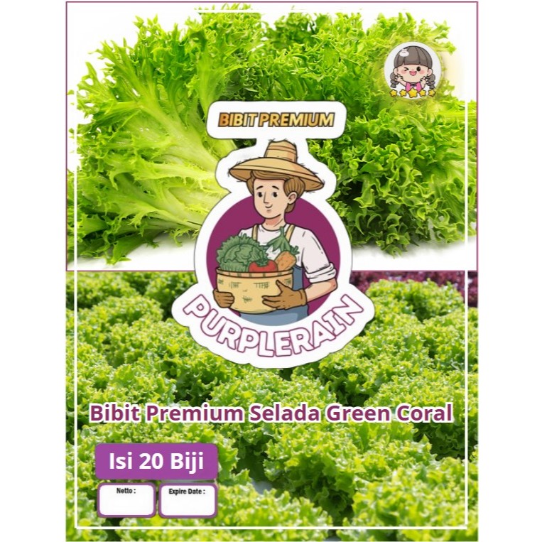 Bibit Premium Selada Green Coral | Benih Selada Green Coral