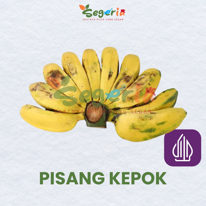 

BUAH PISANG KEPOK PER SISIR