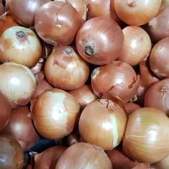 

RB Bawang Bombay Besar 60/80 Kemasan 5KG-10KG