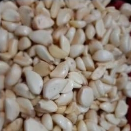 

bawang putih kupas 250 gram