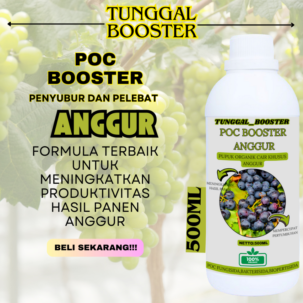 Pupuk Pelabat Anggur/Anggur Berbuah lebat/Booster Perangsang Buah Anggur/poc anggur Premium 500ml
