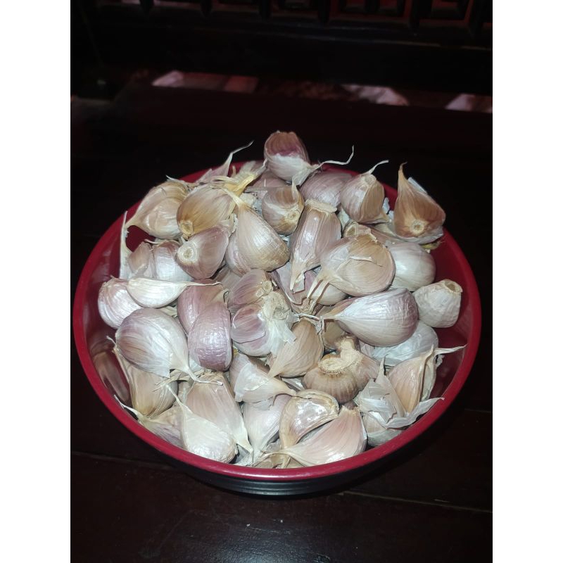 

bawang putih kanting 1kilo