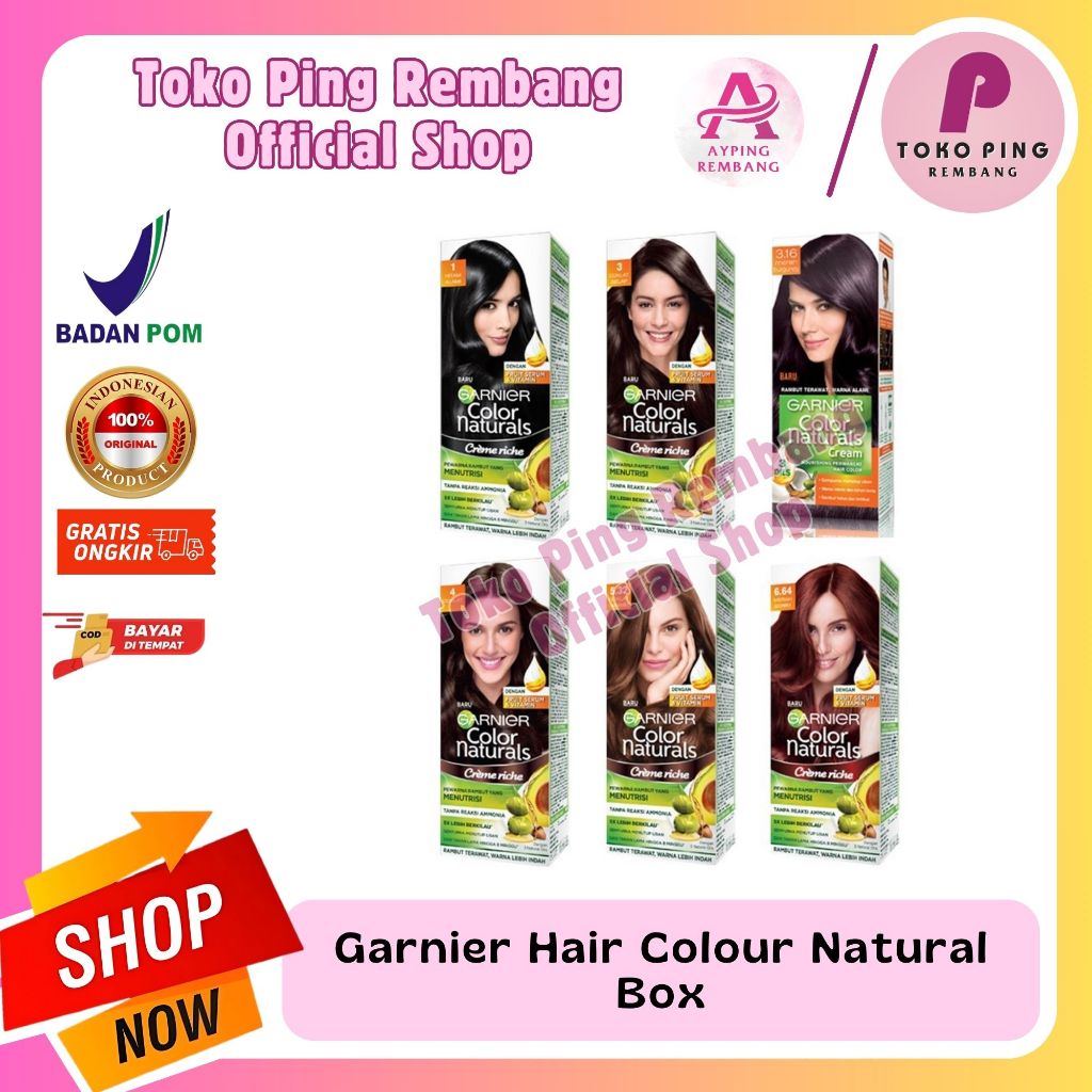 Garnier Hair Colour Natural Box Warna Lengkap Semir Rambut (tersedia natural bleaching)