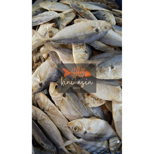 

Ikan Asin Selar | Murah | Berkualitas | Halal | Segar | Enak