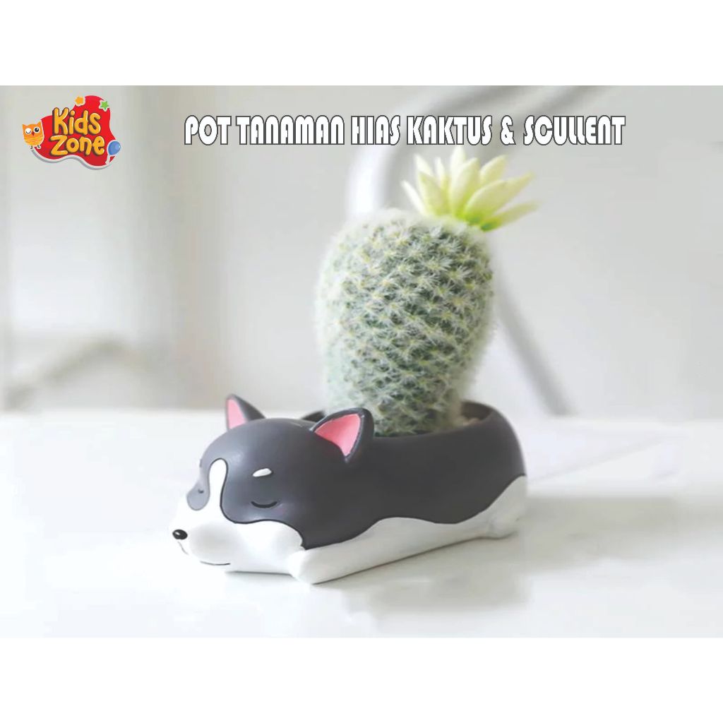 POT ANJING TIDURAN – Pot Tanaman Hias Unik untuk Kaktus & Sukulen