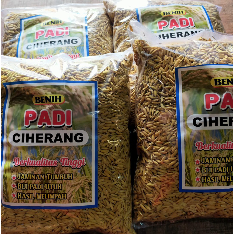 Teh_Teh Maniez ()Benih Padi Ciherang Bima Sakti Unggul 1Kg