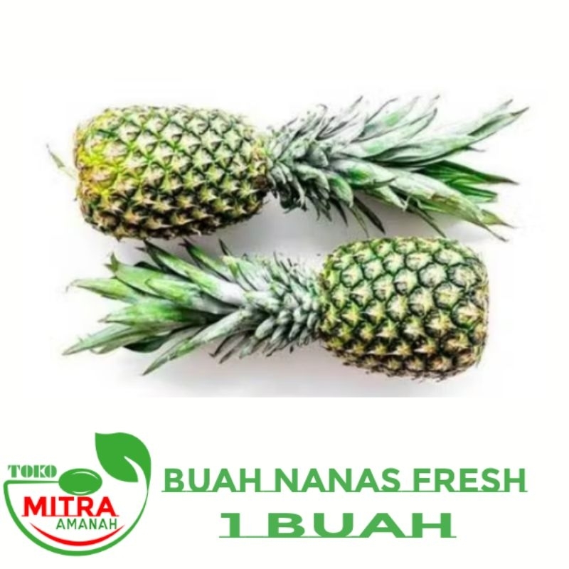 

BUAH NANAS BAHAN RUJAK