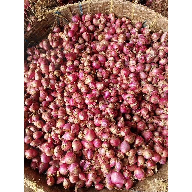 

Bawang Merah kecil untuk bumbu LOKAL (ULEKAN)