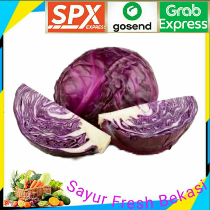 

Kol Ungu/Kubis Ungu 250g.