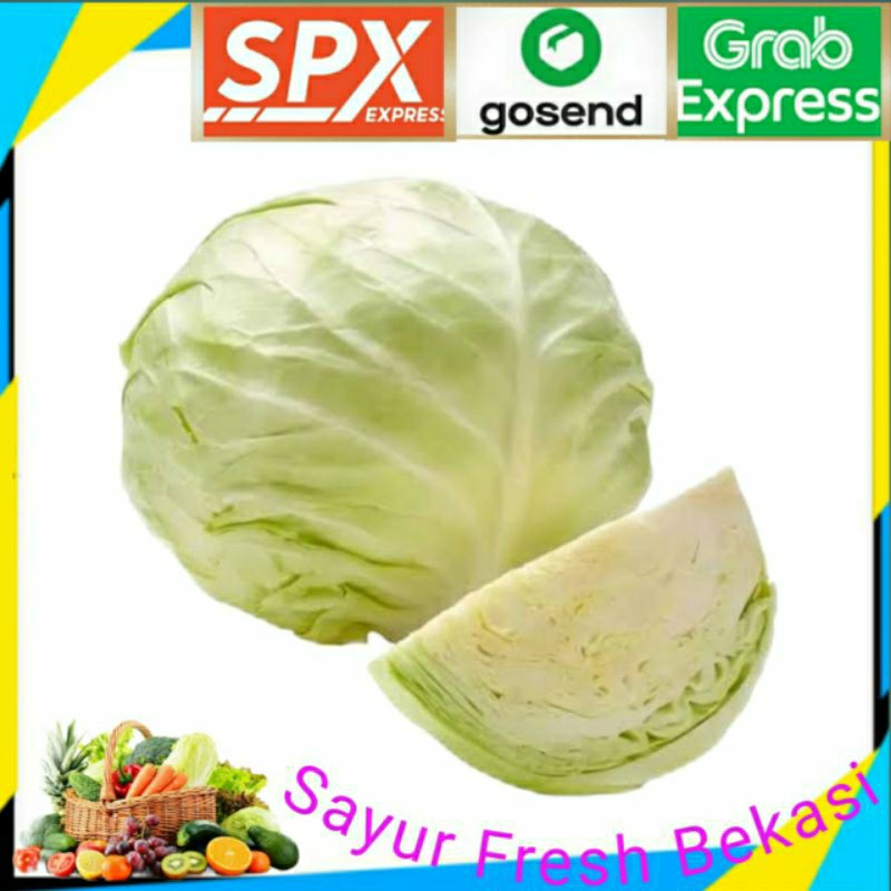 

Kol/Kubis Hijau 500g.