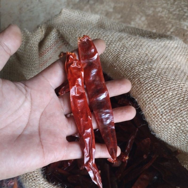 

Cabe kering merah wonderhot (WH) 1/2 kg