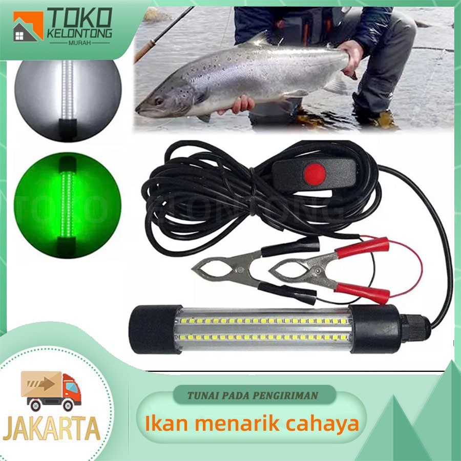 Lampu bawah air Persediaan Menarik Ikan Lampu LED Dalam Air Umpan Ikan Umpan Cahaya untuk Memancing 