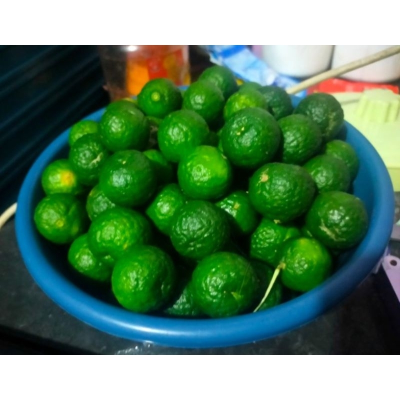 

jeruk limao/jeruk limo/jeruk sambel segar 500g