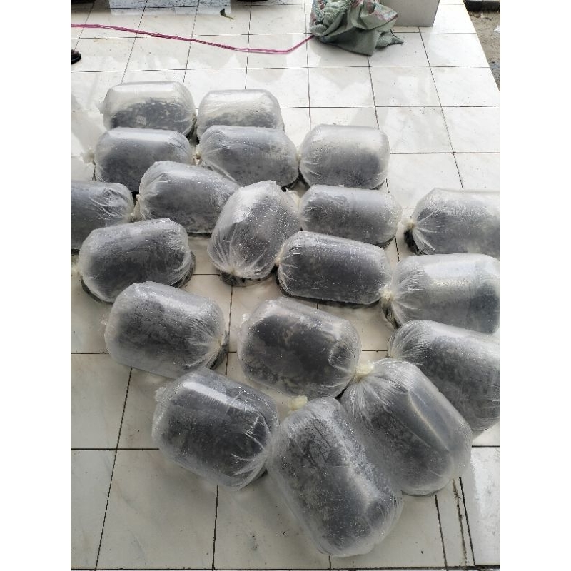 

Ikan Gurami,nila, mujaer Hidup