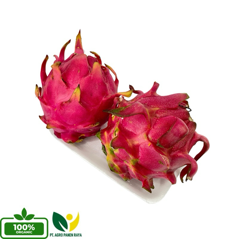 

FRESH - Buah Naga Premium 1Kg