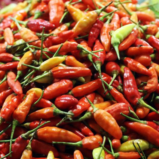 

Cabai/cabe rawit merah fress berat 1 kg termurah