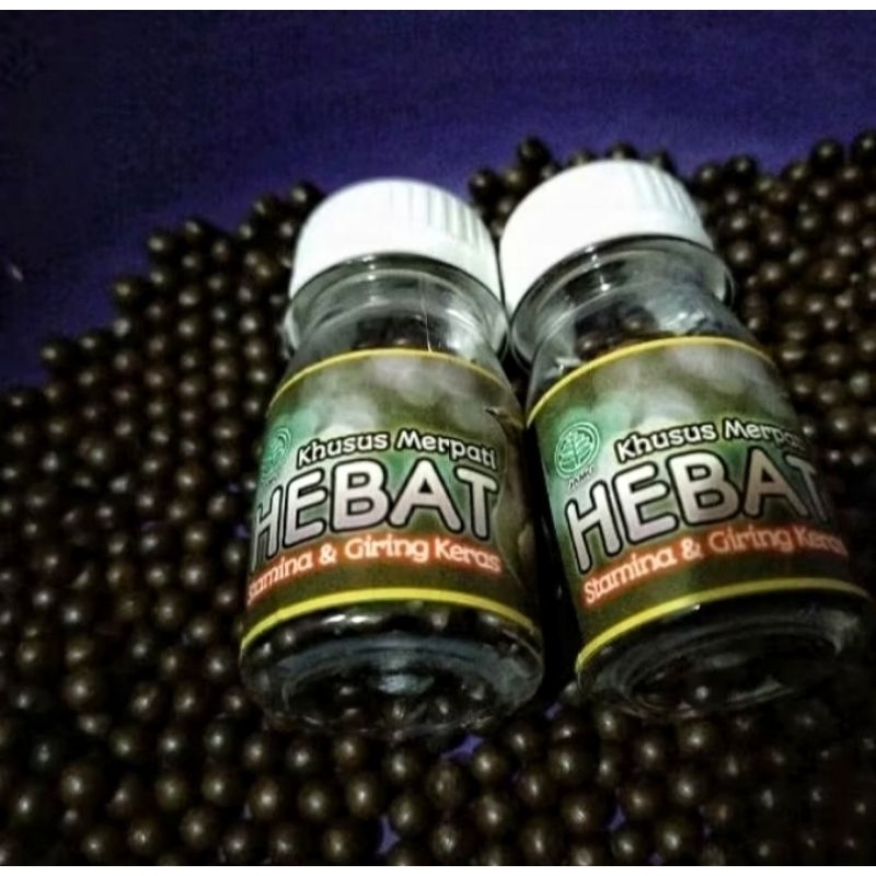 jamu giring keras (JAMU HEBAT) MERPATI BALAP/KOLONG