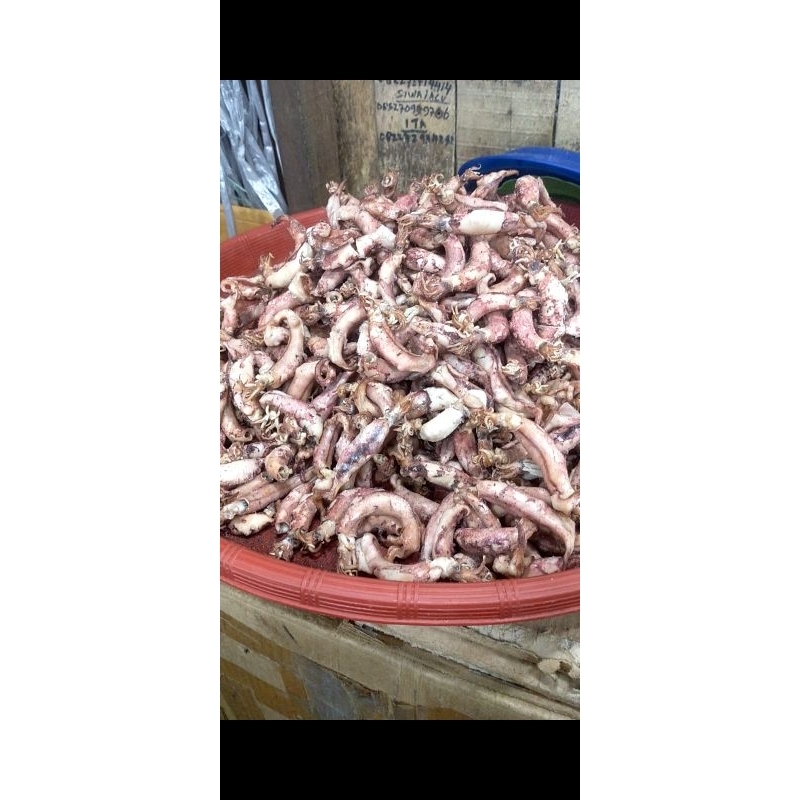 

CUMI ASIN PREMIUM 250gr