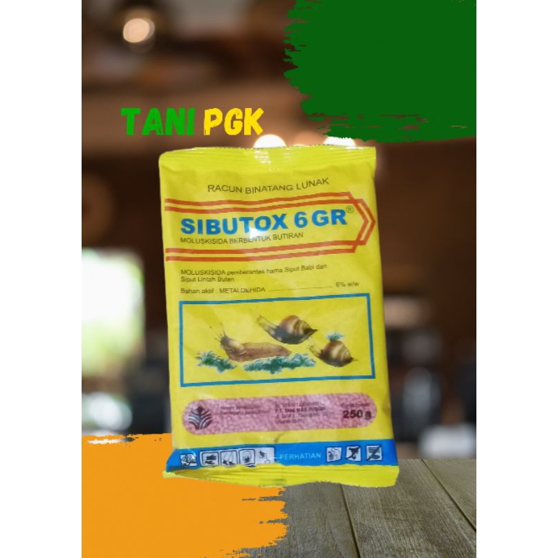 RACUN SIPUT KEONG SIBUTOX 6 GR