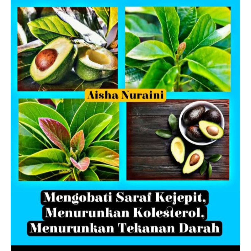 

herbal daun jambu alpukat 1kg