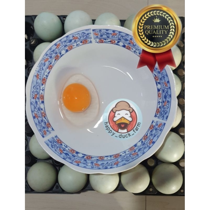 

Telur Bebek Mentah Omega3 Premium Fresh 20pcs