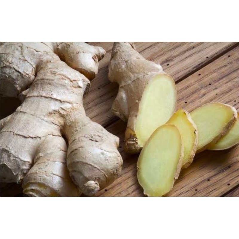 

promo jahe emprit fres super pedas belum di cuci 1kg