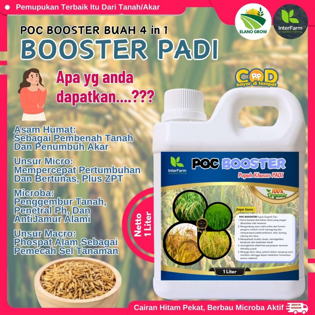Pupuk hormon untuk tanaman padi,Obat hormon untuk padi,Super hormon penumbuh buah padi, ELANOGROW