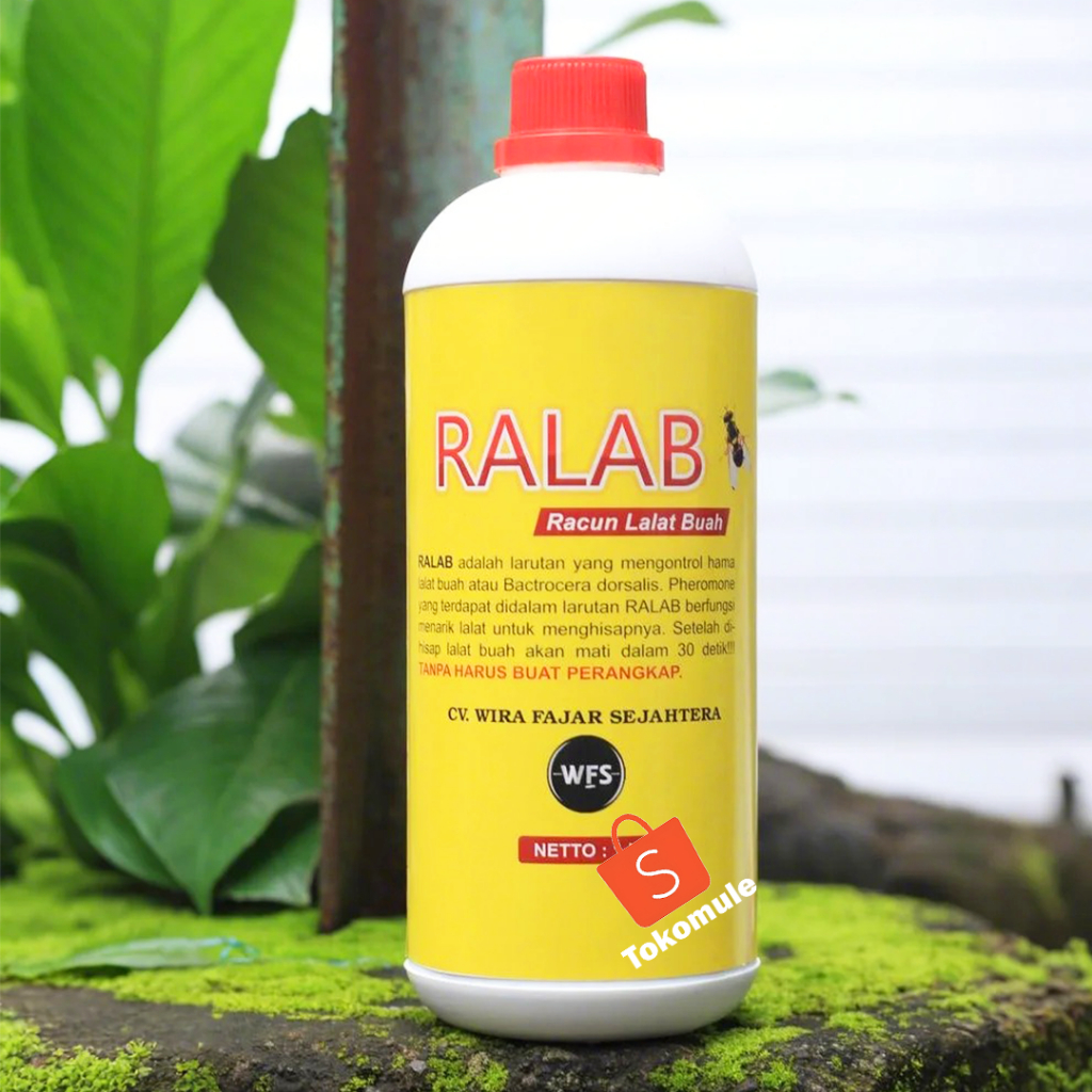 INSEKTISIDA LALAT BUAH, OBAT RACUN LALAT BUAH AMPUH BASMI LALAT KUNING COCOK UNTUK PETANI BUAH