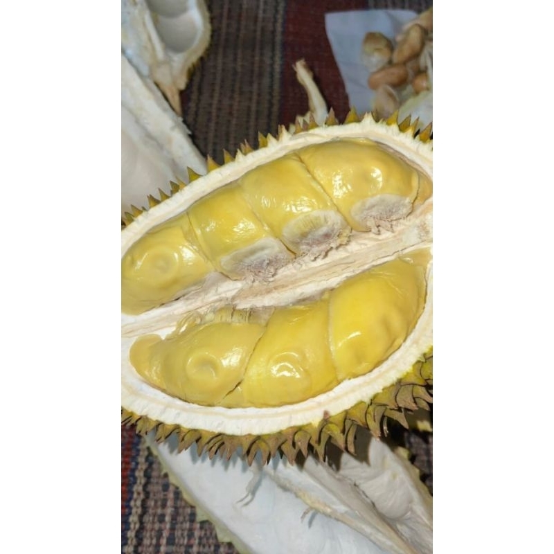 

MURAH MERIAH!! Durian Bawor Malaysia || Best Seller ||