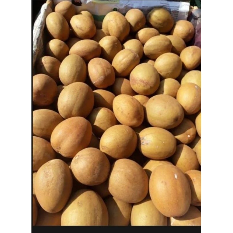 

BUAH SAWO MURAH