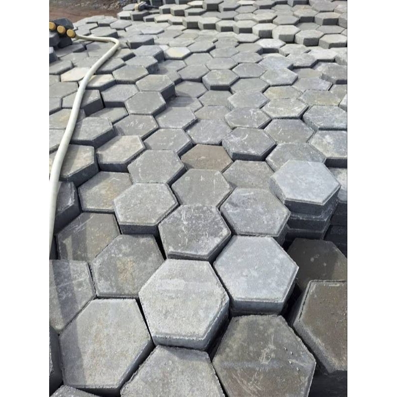 paving blocksegi 6/paving block press