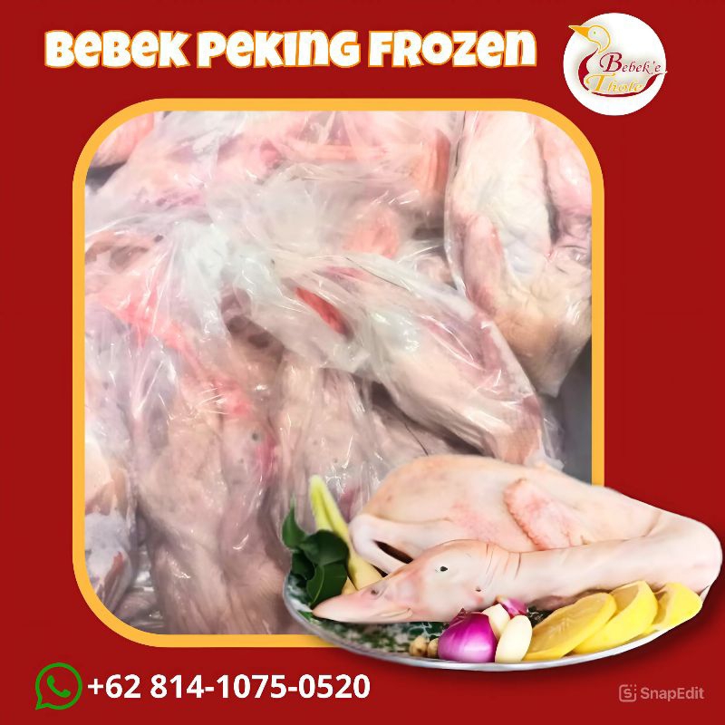 

BEBEK PEKING FROZEN FRESH 1 EKOR berat Bebek 900gr
