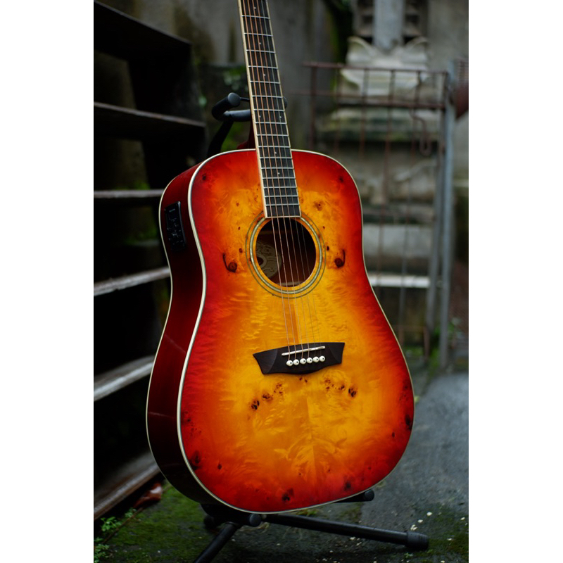 Gitar Washburn DFBDEA-U