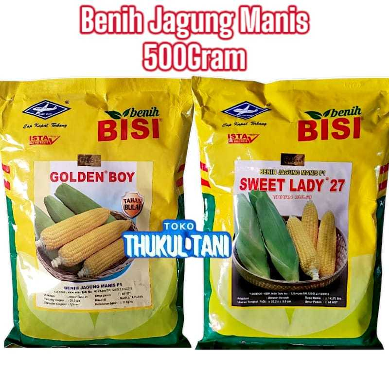 BIBIT JAGUNG MANIS 500GRAM BISI GOLDEN BOY SWEET LADY 27 KAPAL TERBANG BENIH HIBRIDA KEMASAN 500GR