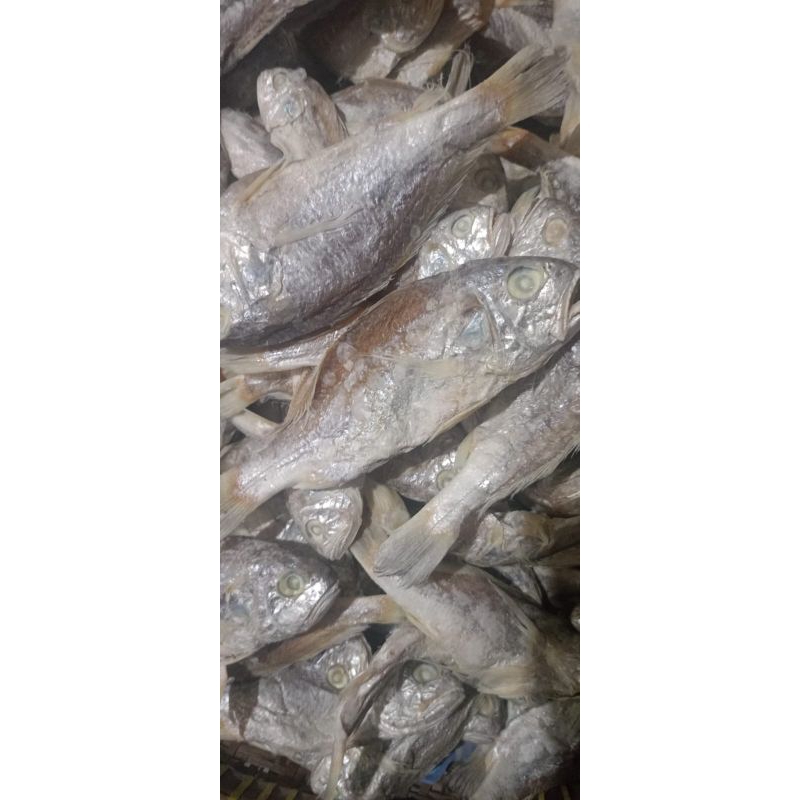 

Ikan Asin kepala batu