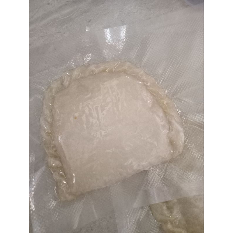

PROMO CIRENG MEGALODON ISIAN MELIMPAH