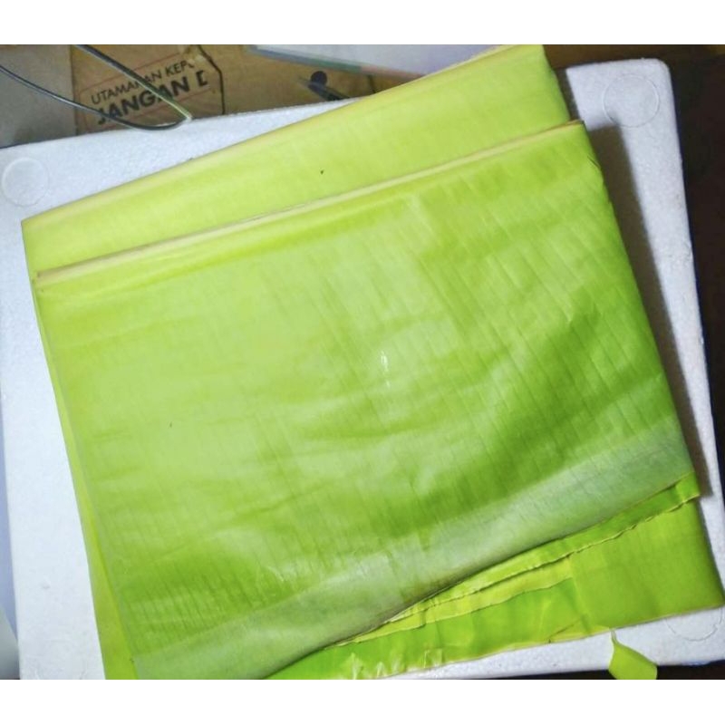 

Daun pisang muda segar berkualitas per ikat