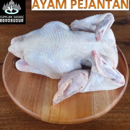 

COD Ayam Pejantan Fresh