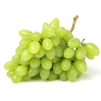

Anggur Aus Long Thomson Buah Import Segar