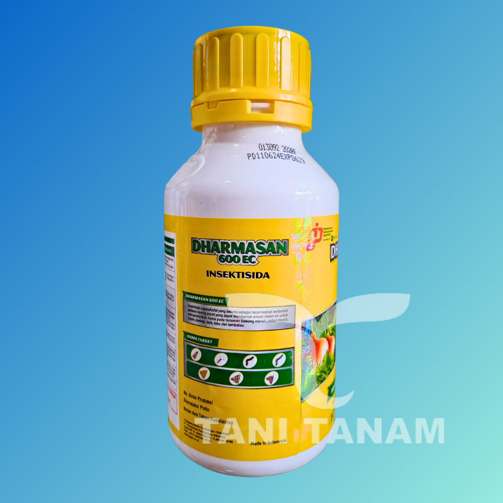 DHARMASAN 600 EC 500 ML INSEKTISIDA PENGENDALI HAMA // DARMASAN INSEKTISIDA