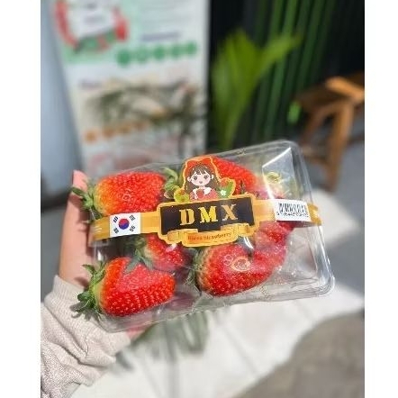 

strawberry Korea DMX