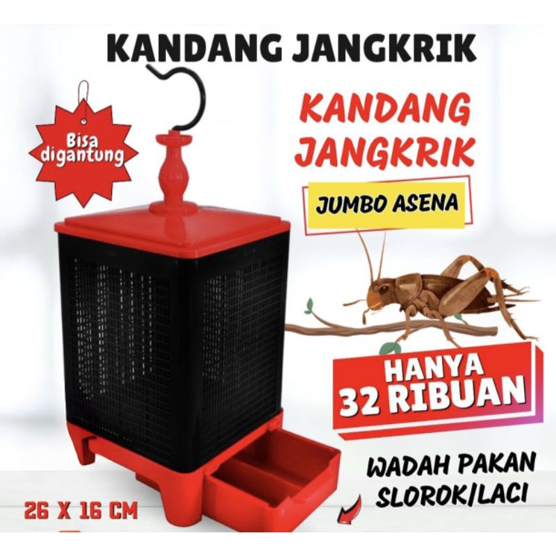 Asena Kandang Jangkrik Uler Wadah Pakan Burung Bok Jangkrik Plus uler