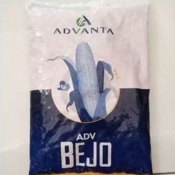 PROMO BENIH JAGUNG HIBRIDA ADVANTA BEJO ADV BEJO KEMASAN 1KG ORIGINAL