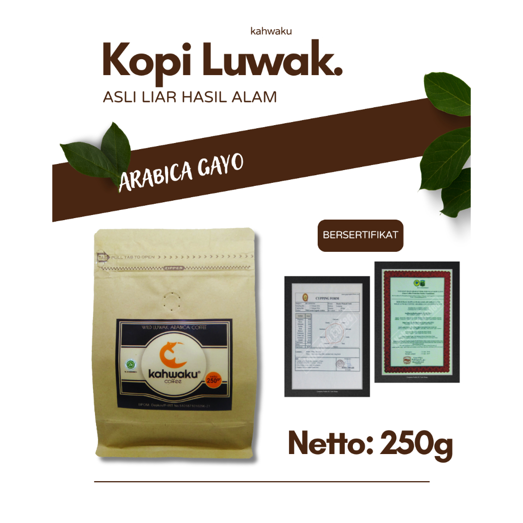 

Kopi Luwak Liar Asli, Arabika Gayo 250g – Roasted/Bubuk Premium Sumatera Heritage Coffee & Eksklusif
