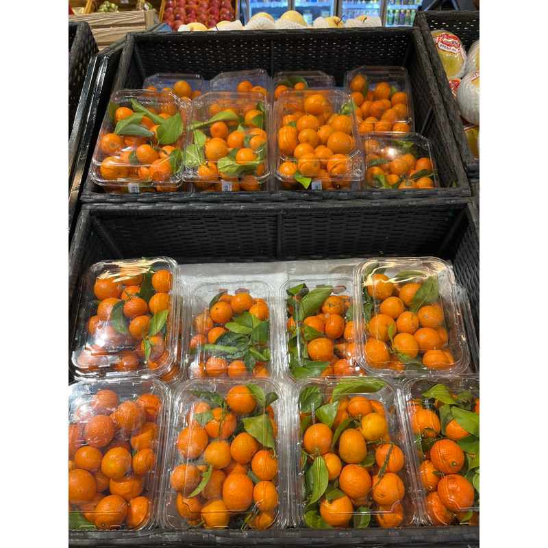 

JERUK SWEET BIRMA PERPACK 500- 900 GR