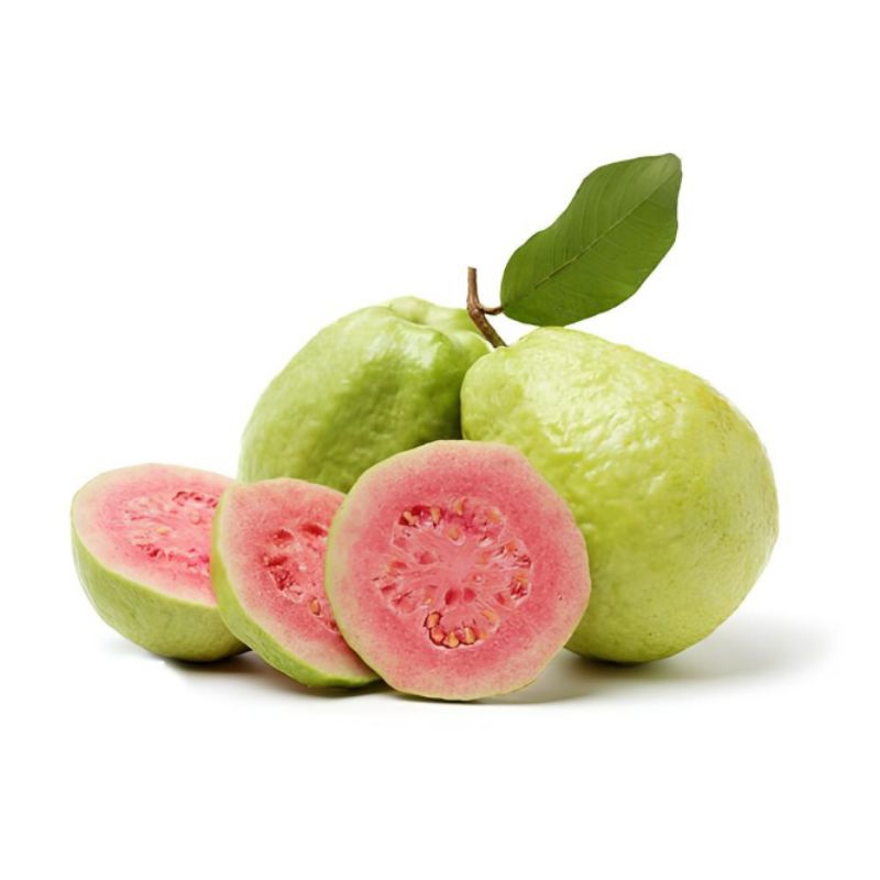 

Jambu Biji Merah Segar 1 KG