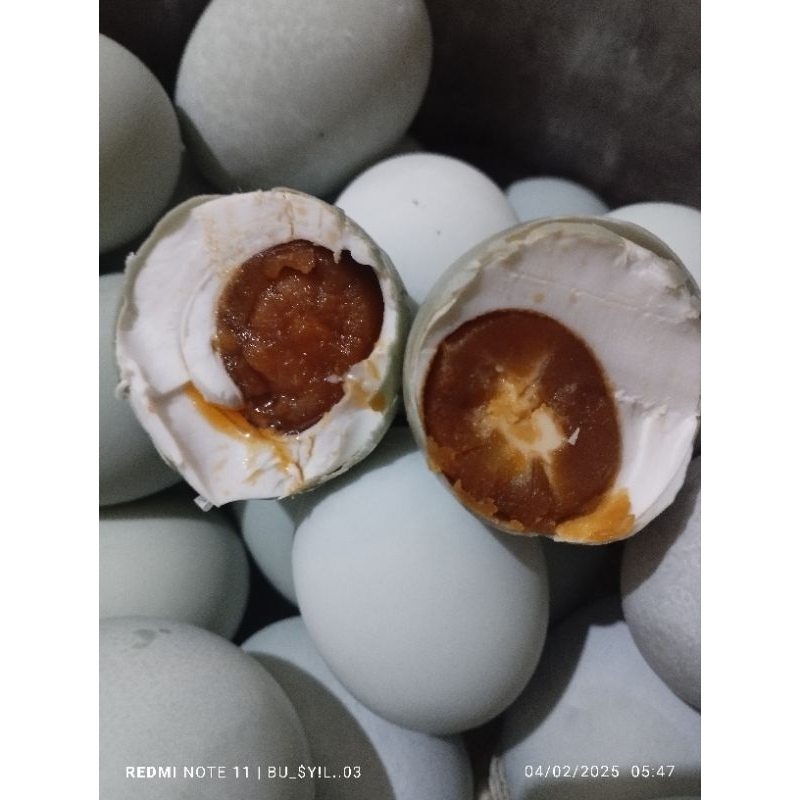 

TELUR ASIN ( BESAR ) OMEGA 3 MASIR GURIH KHAS BREBES