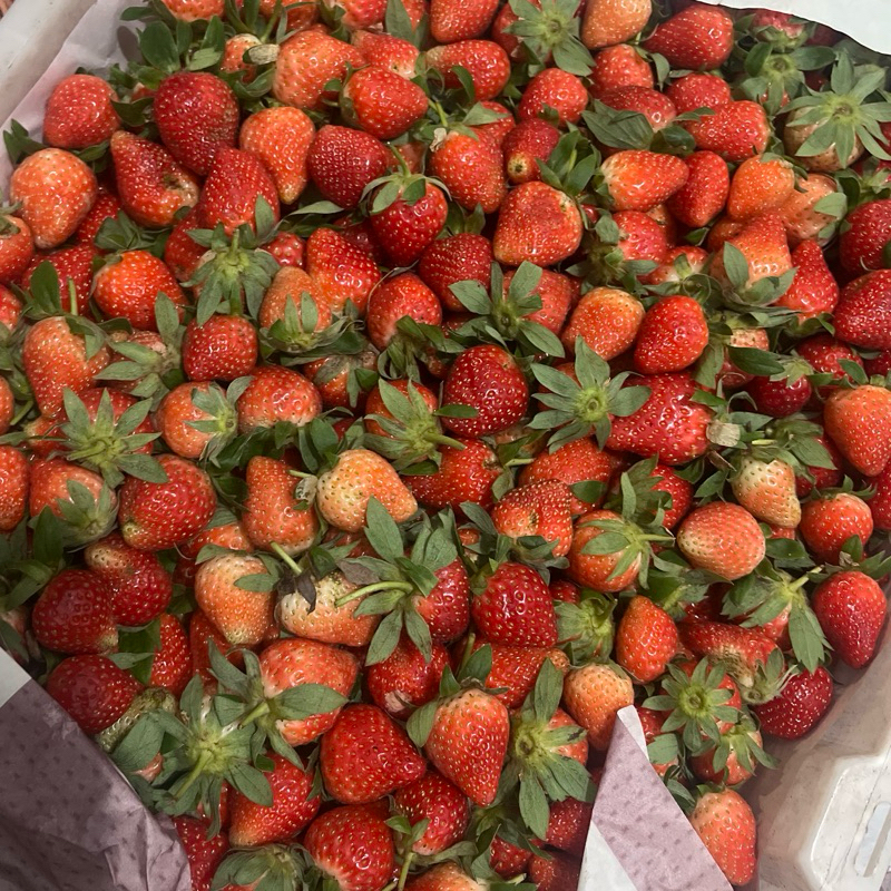 

Strawberry Fresh Mini (1kg)